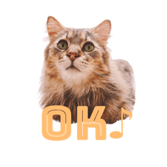 わが家にハルがやってきた