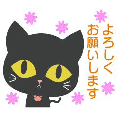 【毎日使える】黒猫ちゃん