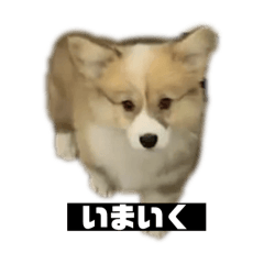 犬以外の何物でもないスタンプ2