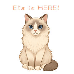 エレガントなエリア