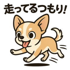 カラ回りチワワ