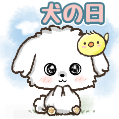 【犬の日】愛犬♡マルチーズ★ご挨拶