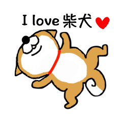 柴犬のよく使う日常会話