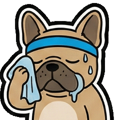 熱血！フレブルバド部