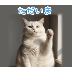 [ただいま専用]おでぶ猫