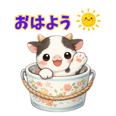 Ribbon Calf  Flower Bucket