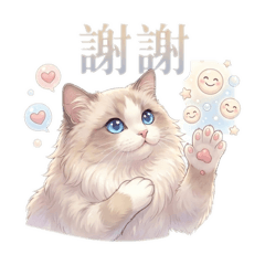 Shera_20260308024512