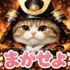 お殿様♡にゃんこ