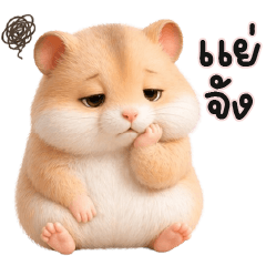 Hamster So cute cute