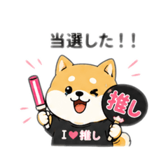 オタ活する柴犬
