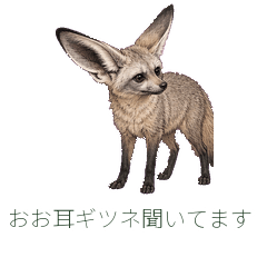 おお耳ギツネ聞いてます