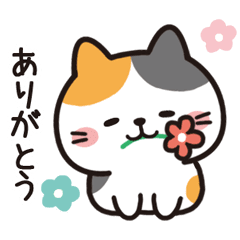 なかよし子猫❤