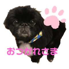 黒ペキ玲音 日常編