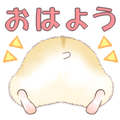 まいにちハム尻