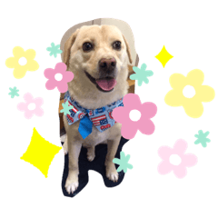 見やすいパンくんスタンプ！