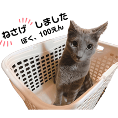 だいごろうの日常2