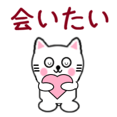 白いねこ6 願望編