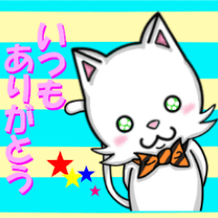 ねこ、ネコ、猫　その四