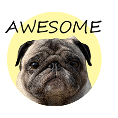 パグ犬　おさむのAWESOMEスタンプ
