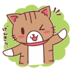 にゃーにゃの日常