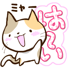 ドタバタ三毛猫さん