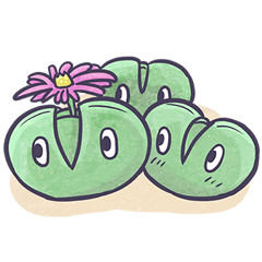 青青小樹。多肉萌 (日)