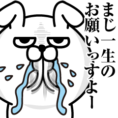 パイセンにこびるうさぎ