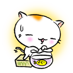 いやしの子ネコ-チャオ丸ちゃん