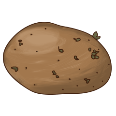 A Potato
