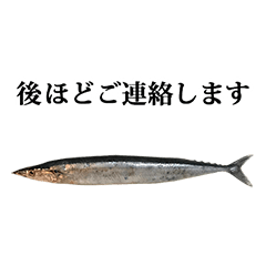 生サンマ　北海道産　と　敬語