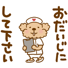 動け！トイプーのぷう太郎【健康第一】