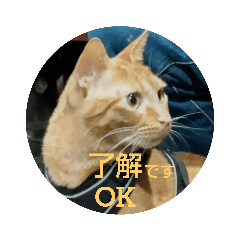 さびたん、てびち