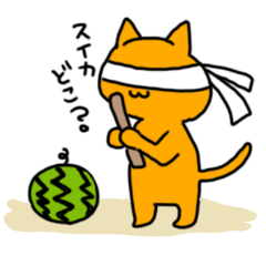 猫たちとその他の動物たち1