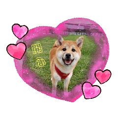 kitty_20210725085148