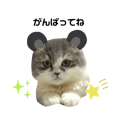 とろろ(日常編3)