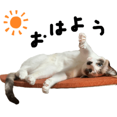 もちねむあいさつ