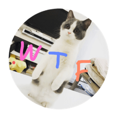 ぴのたんスタンプ