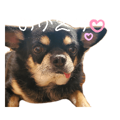 ももだよ、あいさつへん