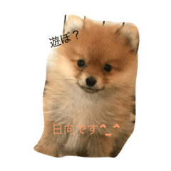 はじめまして日向です！