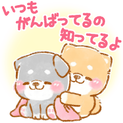 飛び出す⚡気遣い2❤️いやしばいぬ