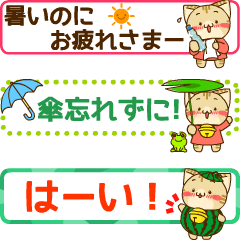 使いやすい動く夏の省スペースすずにゃん