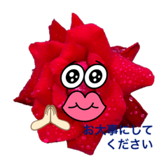 お花DE思いやり挨拶①(こんにちはお大事に)