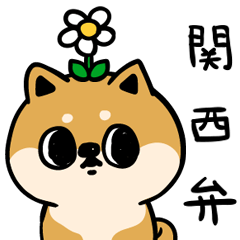 関西弁のしばいぬ【大阪府】