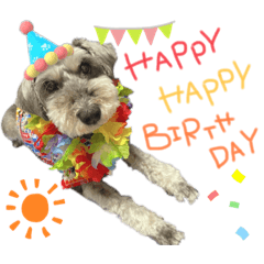 しゅなの日常スタンプ