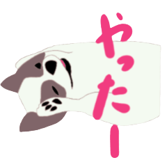 あんちゃんファンクラブ