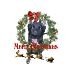 クリスマスverシェパードのさんま