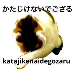 かたじけないでござる