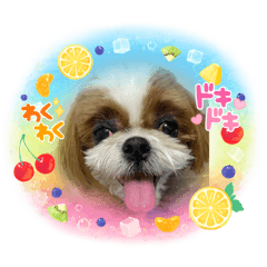 ハナちゃんとシシくん2