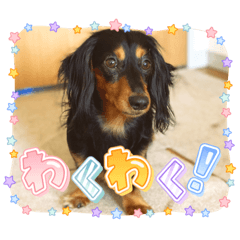 チップとさつきの日常