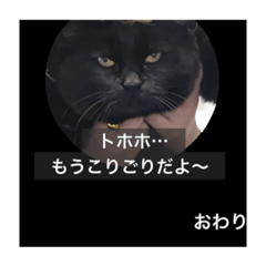 うちの子嘘字幕